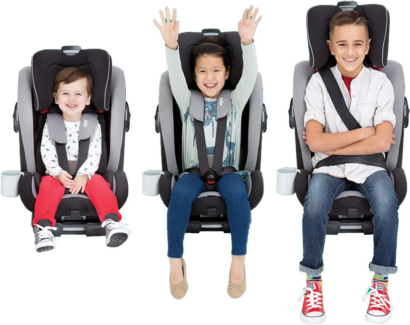 joie bold kindersitz